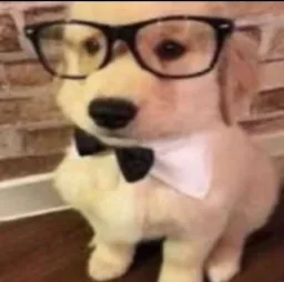 user pfp