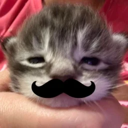 user pfp