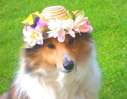user pfp