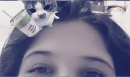 user pfp