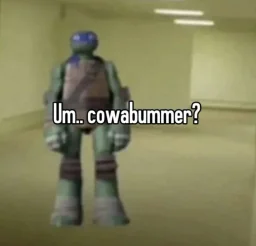 user pfp