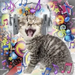 user pfp