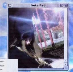 user pfp