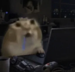 user pfp