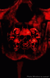 user pfp