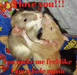 user pfp