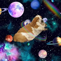 user pfp
