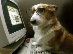 user pfp