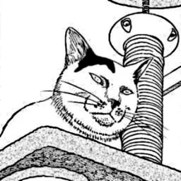 user pfp