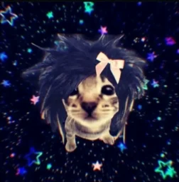 user pfp