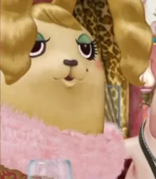 user pfp