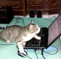 user pfp