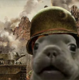 user pfp