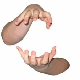 user pfp