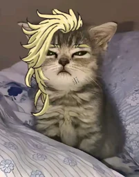 user pfp