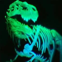 user pfp