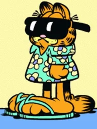user pfp