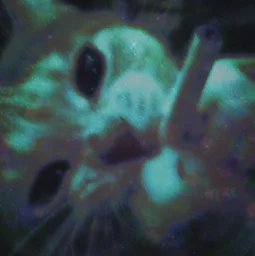 user pfp