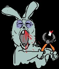 user pfp