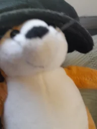 user pfp