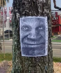 user pfp