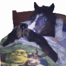user pfp