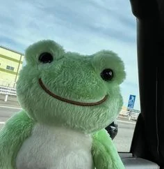 TheFroggiGuy's profile picture
