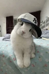 user pfp