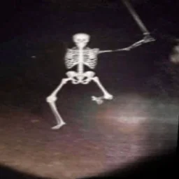 user pfp