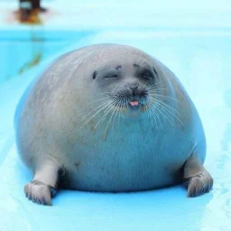 user pfp