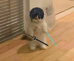 user pfp