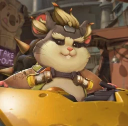 user pfp