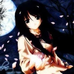 user pfp