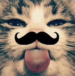 user pfp