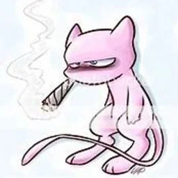 user pfp
