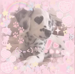 user pfp