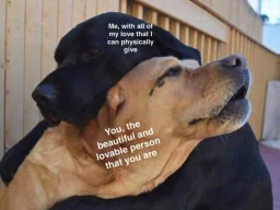user pfp