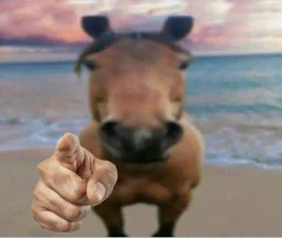 user pfp