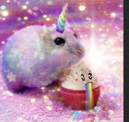 user pfp