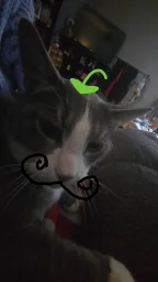 user pfp