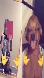 user pfp