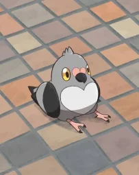 user pfp