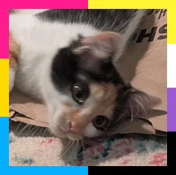 user pfp