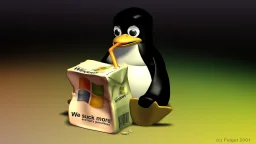 user pfp