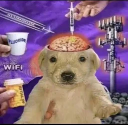 user pfp