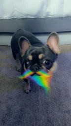 user pfp