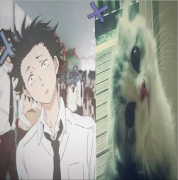 user pfp