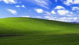 user pfp
