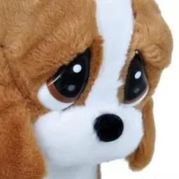 user pfp