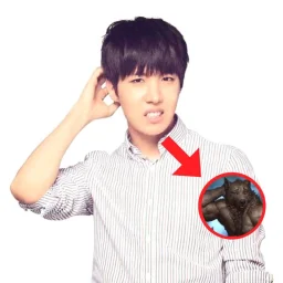 user pfp